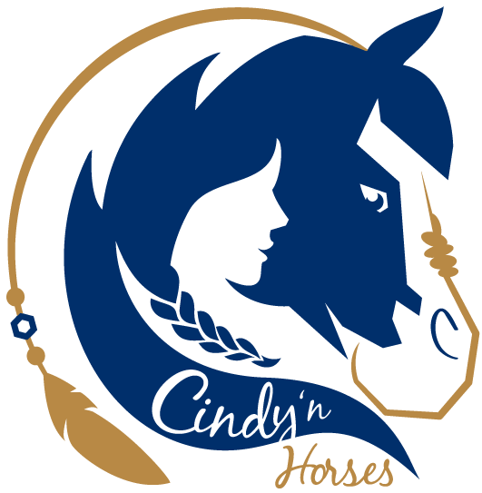 Cindy'n horses