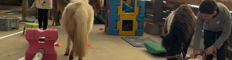 Cours pour les enfants dès 5 ans